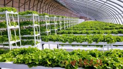 “五大行动”助推农业绿色发展