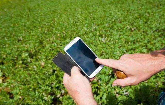 手机成为中国农民“新农具”